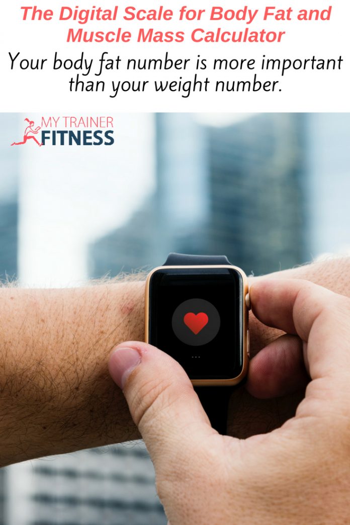 The Digital Scale for Body Fat and Muscle Mass Calculator My Trainer Fitness